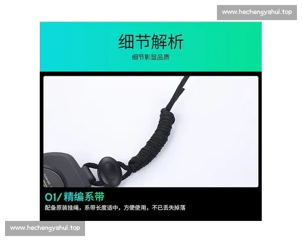 体育官网登录网页版安全便捷入口使用指南与功能解析全面体验优化说明